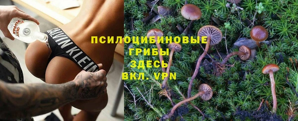 синтетический гашиш Алексеевка