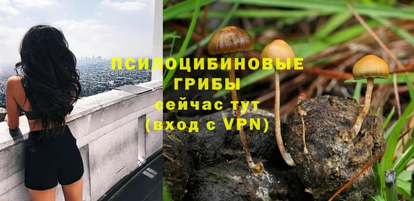 синтетический гашиш Алексеевка