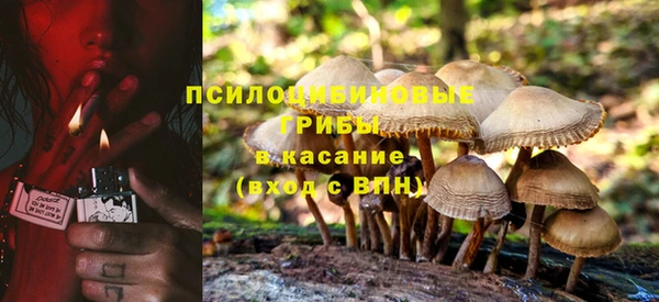синтетический гашиш Алексеевка